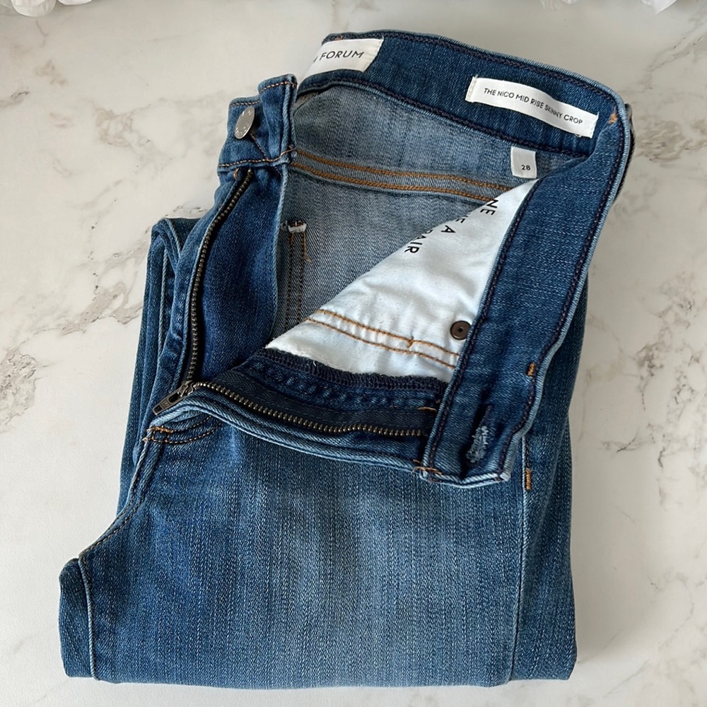 Aritzia DENIM FORUM Nico Mid Rise Skinny Crop